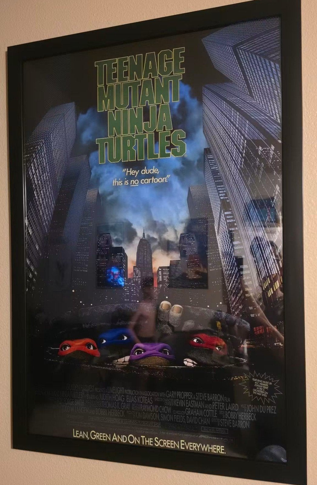 teenage mutant ninja turtles, Ophalen of Verzenden