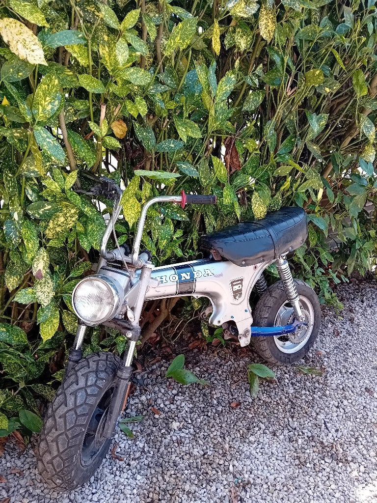 Honda Dax ST 50, Vélos & Vélomoteurs, 49 cm³, Classe B (45 km/h), Enlèvement, Utilisé