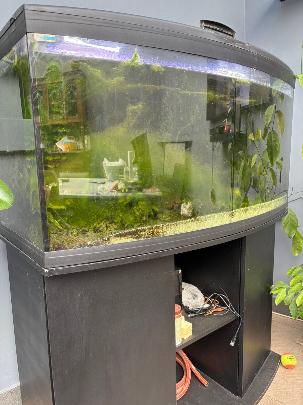 Aquarium, Animaux & Accessoires, Poissons | Aquariums & Accessoires, Decoratie, Enlèvement, Utilisé, Eheim