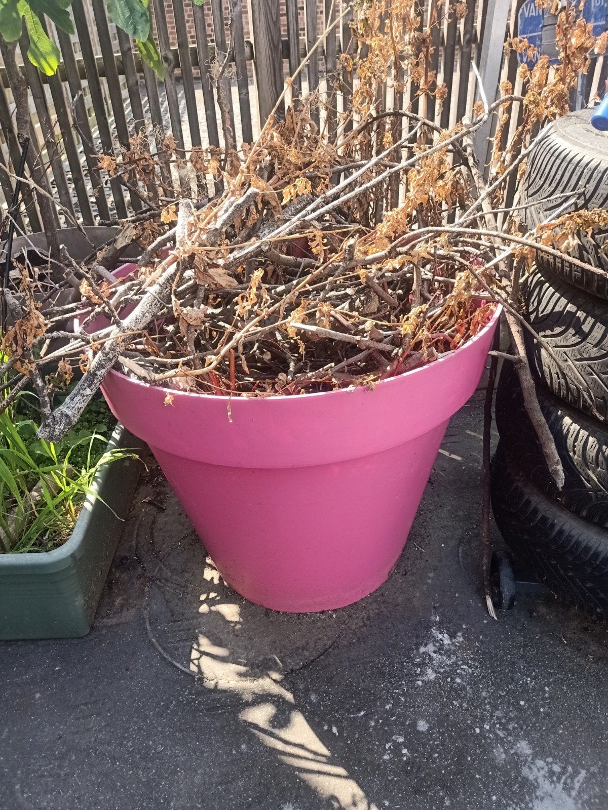 grand pot de fleurs, Jardin & Terrasse, Bacs à fleurs & Jardinières, Enlèvement ou Envoi