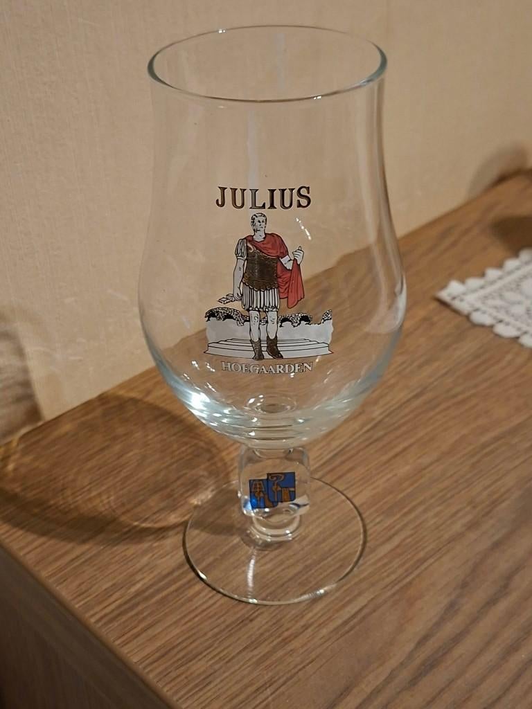 authentiek Hoegaarden Julius bierglas, Ophalen of Verzenden, Zo goed als nieuw, Bierglas