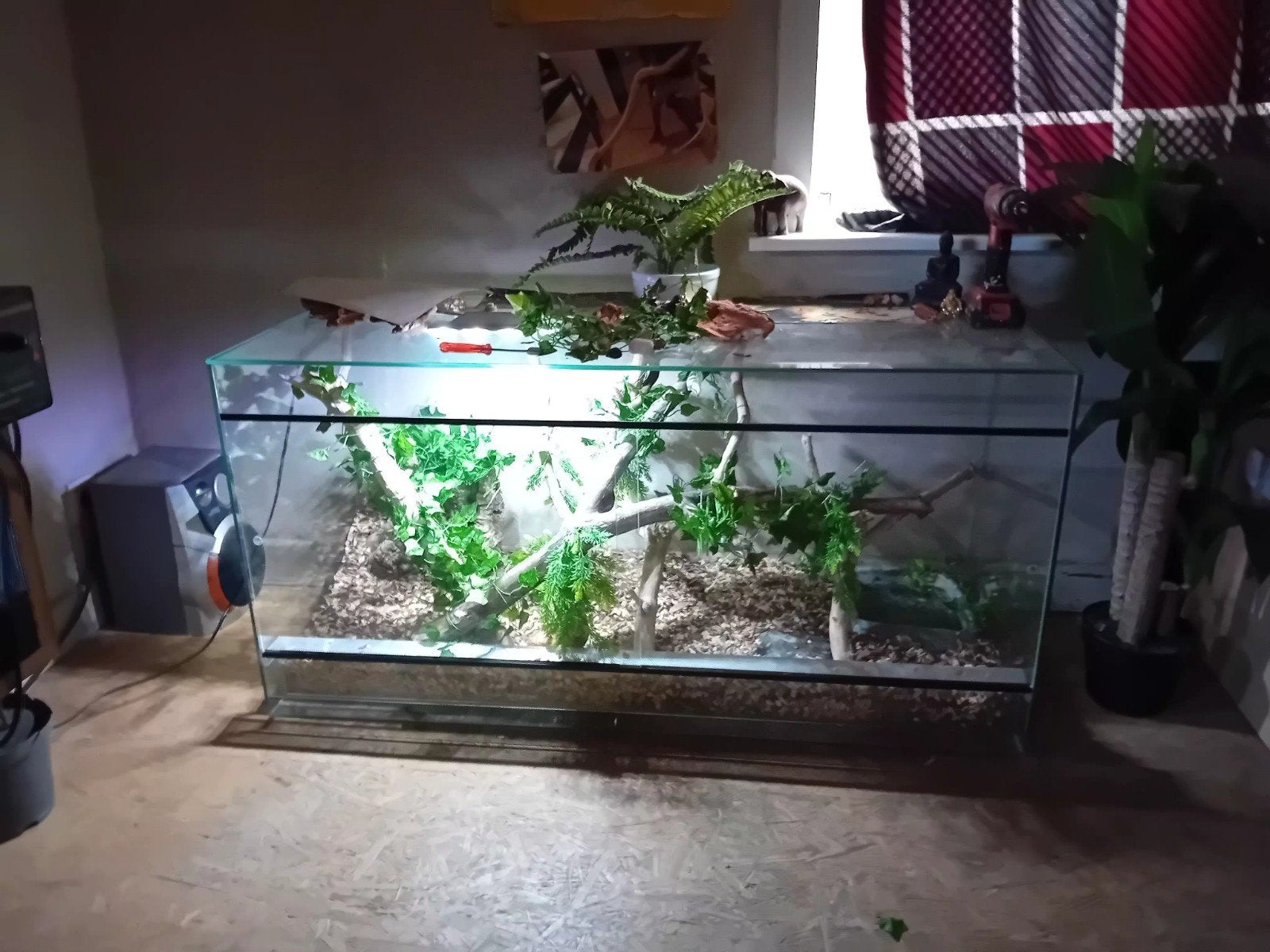 terrarium, Ophalen, Nieuw, Terrarium of Paludarium
