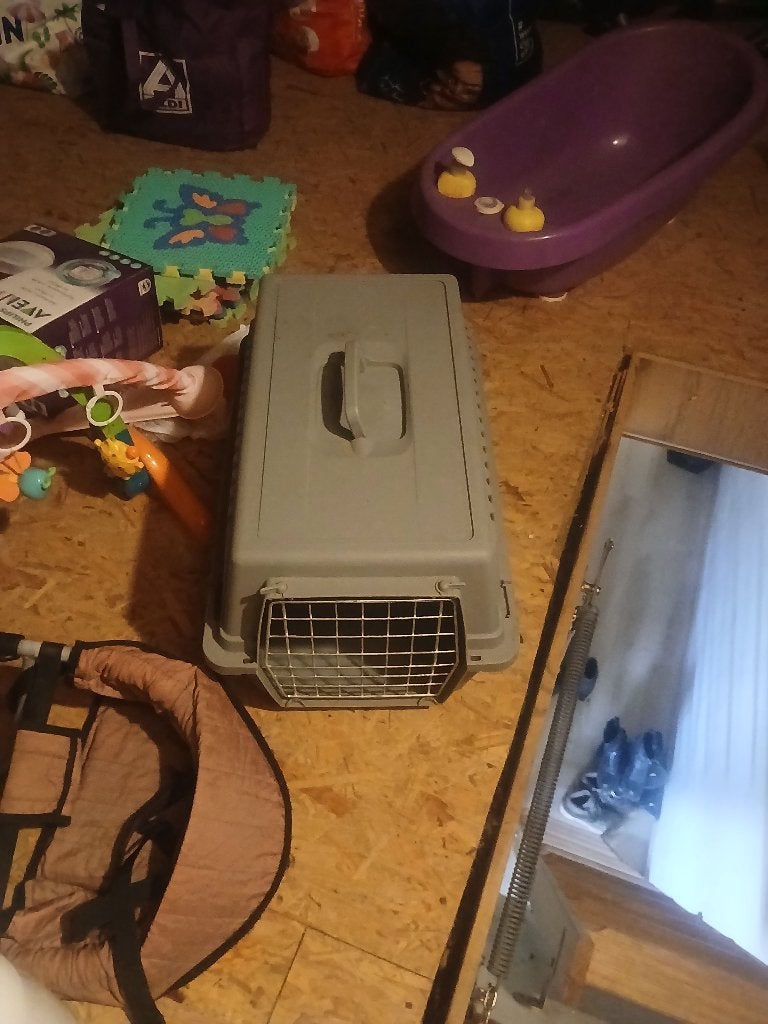 Dieren, Enlèvement, Utilisé