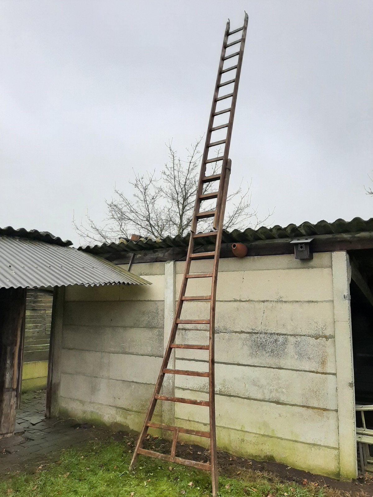 Plukladder ladder, Doe-het-zelf en Bouw, Ladders en Trappen, Ladder, Ophalen