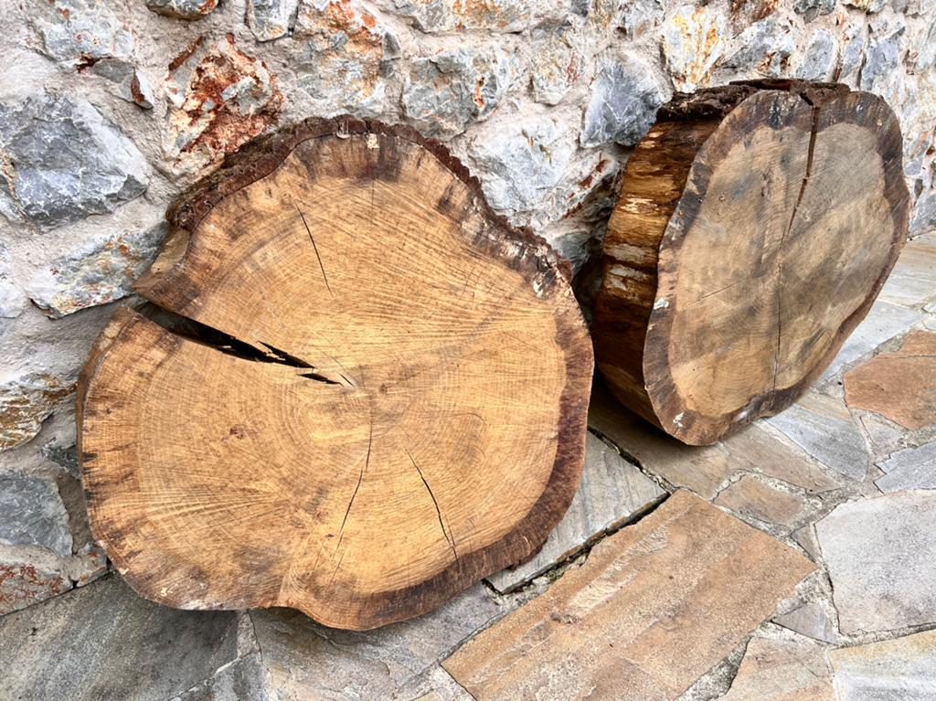 2 dikke eiken boomstam schijven, Ophalen, Eiken