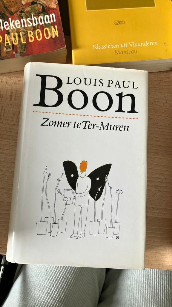 L.P. Boon - Zomer te Ter-Muren, Boeken, Ophalen of Verzenden, L.P. Boon