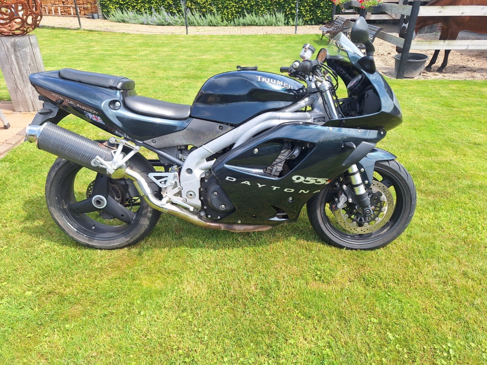 Triumph Daytona 955i, Motoren, Motoren | Triumph, Particulier, Sport, meer dan 35 kW, 3 cilinders, Occasion, Ophalen