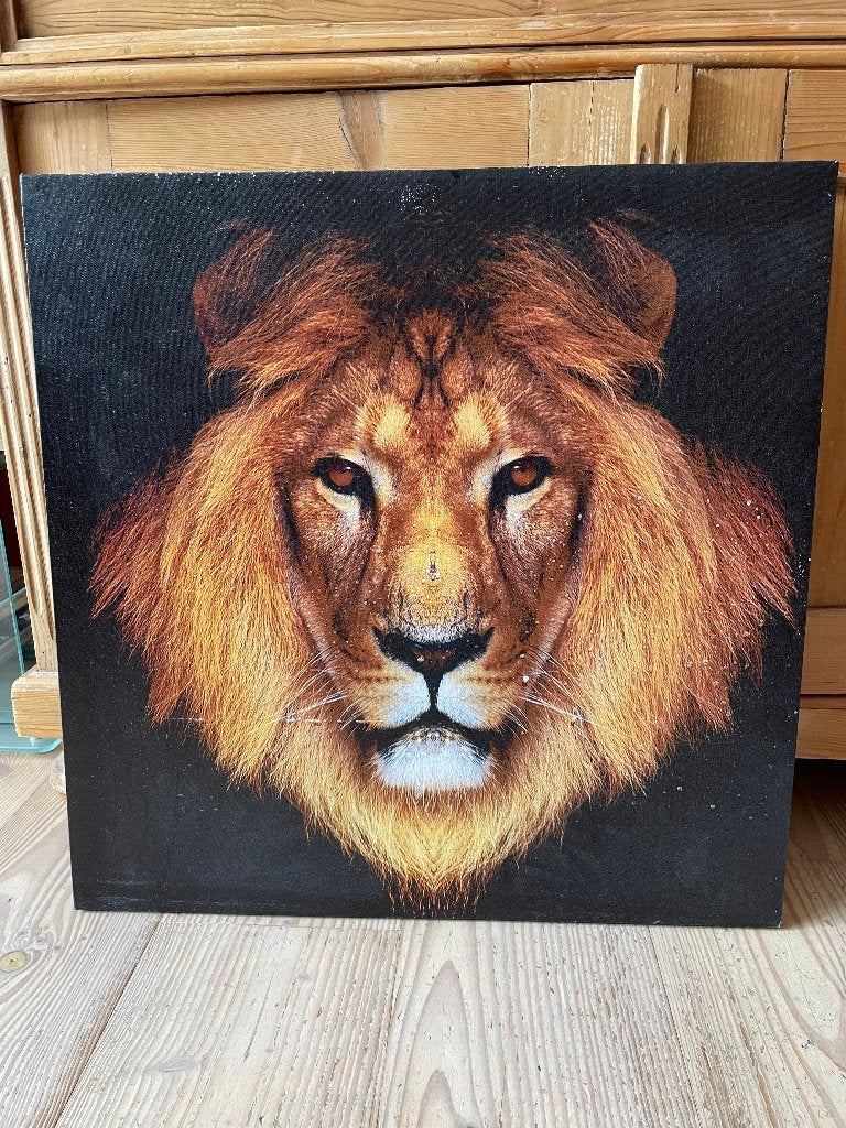 Canvas met Lion Art, Maison & Meubles, Accessoires pour la Maison | Peintures, Dessins & Photos, 50 – 75, Utilisé, 50 à 75 cm