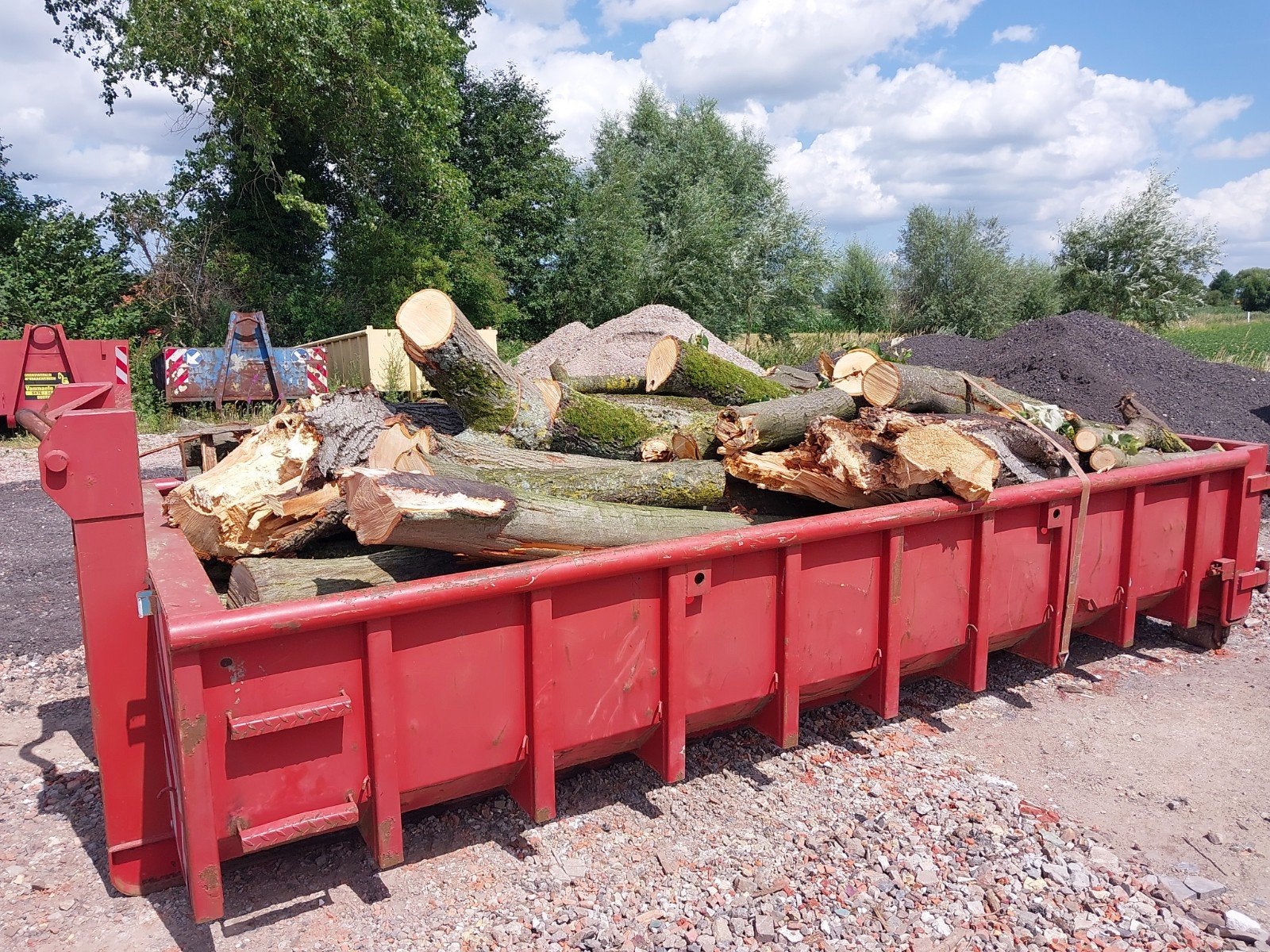 hout op stam te koop, Tuin en Terras, Ophalen of Verzenden