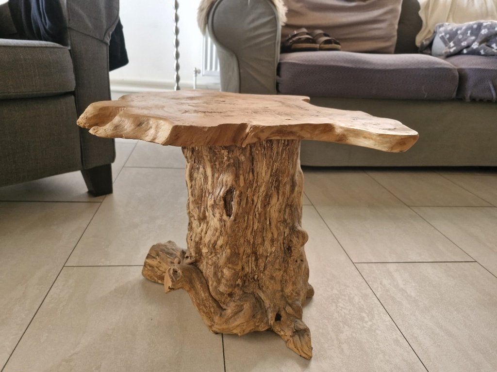 Bijzettafeltje: boomstam, Ophalen, Minder dan 45 cm, Minder dan 55 cm, Gebruikt