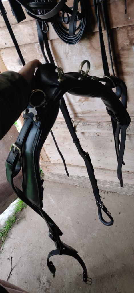 Lederen mentuig pony, Dieren en Toebehoren, Ophalen of Verzenden, Zo goed als nieuw, Overige soorten