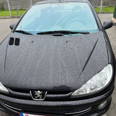 Peugeot 2006 cc, Autos, Peugeot, Achat, Cabriolet, Boîte manuelle, 2 portes