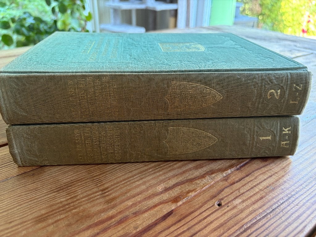 Geschied- en aardrijkskundig woordenboek, Livres, Enlèvement ou Envoi, Eugène de Seyn, Utilisé, 20e siècle ou après