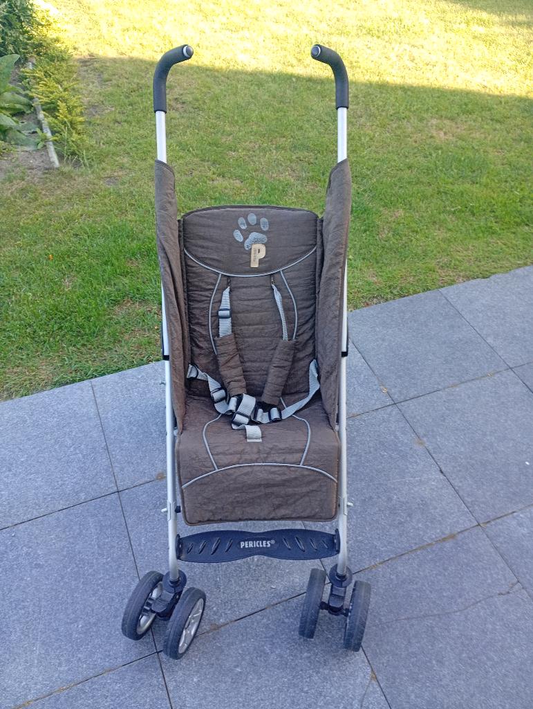 Buggy (Pericles), Enfants & Bébés, Buggys, Enlèvement, Utilisé, Autres marques, Dossier réglable