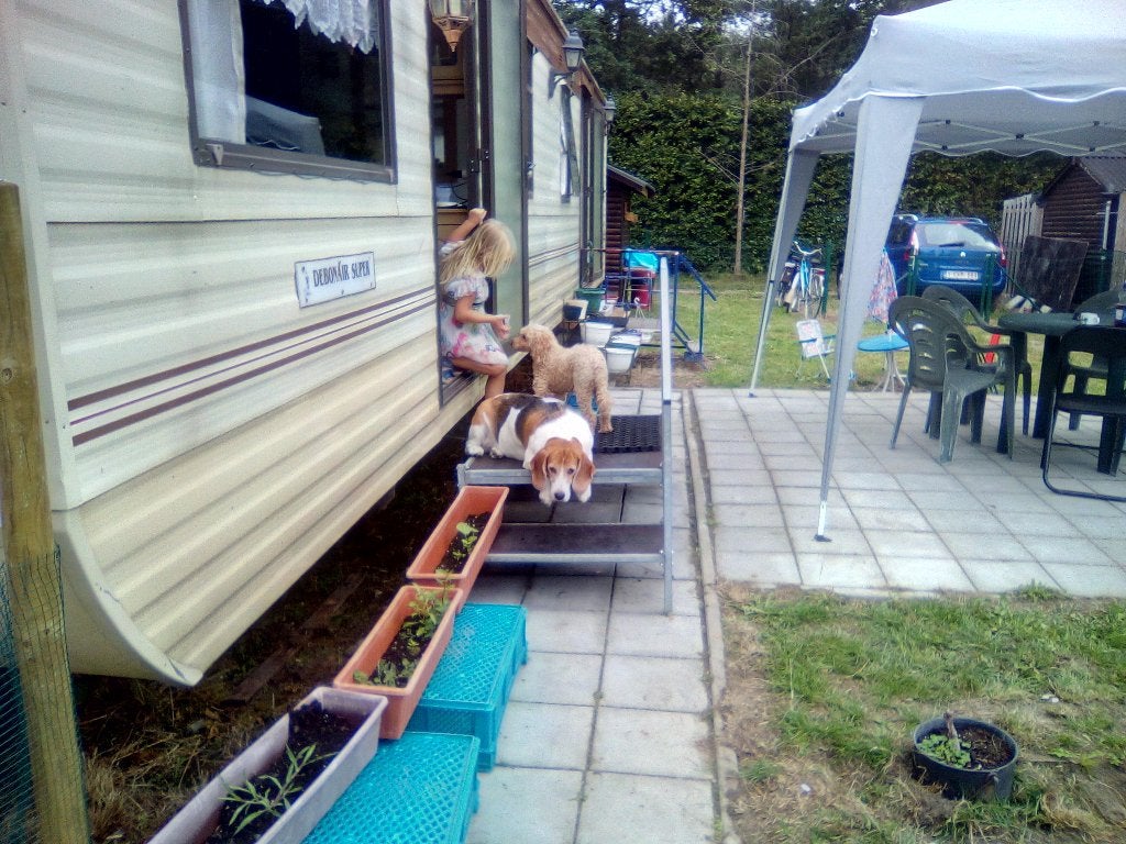 debonair staan caravan, Vakantie, Zwembad, Aan meer of rivier, Overige