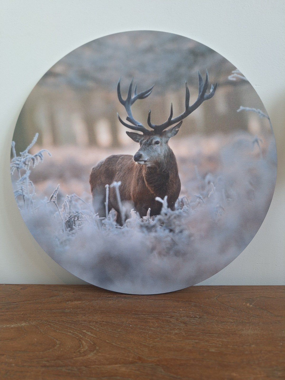 Wandcirkel edelhert, 30 cm, Nieuw, Ophalen of Verzenden, Wandcirkel