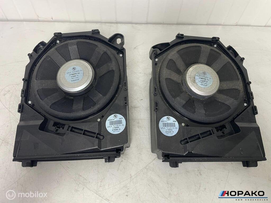 Subwoofer set BMW E90 E91 E92 E93 hifi 65139144202, Gebruikt, Einsteinlaan 5 rijswijk, Bmw, Ophalen of Verzenden