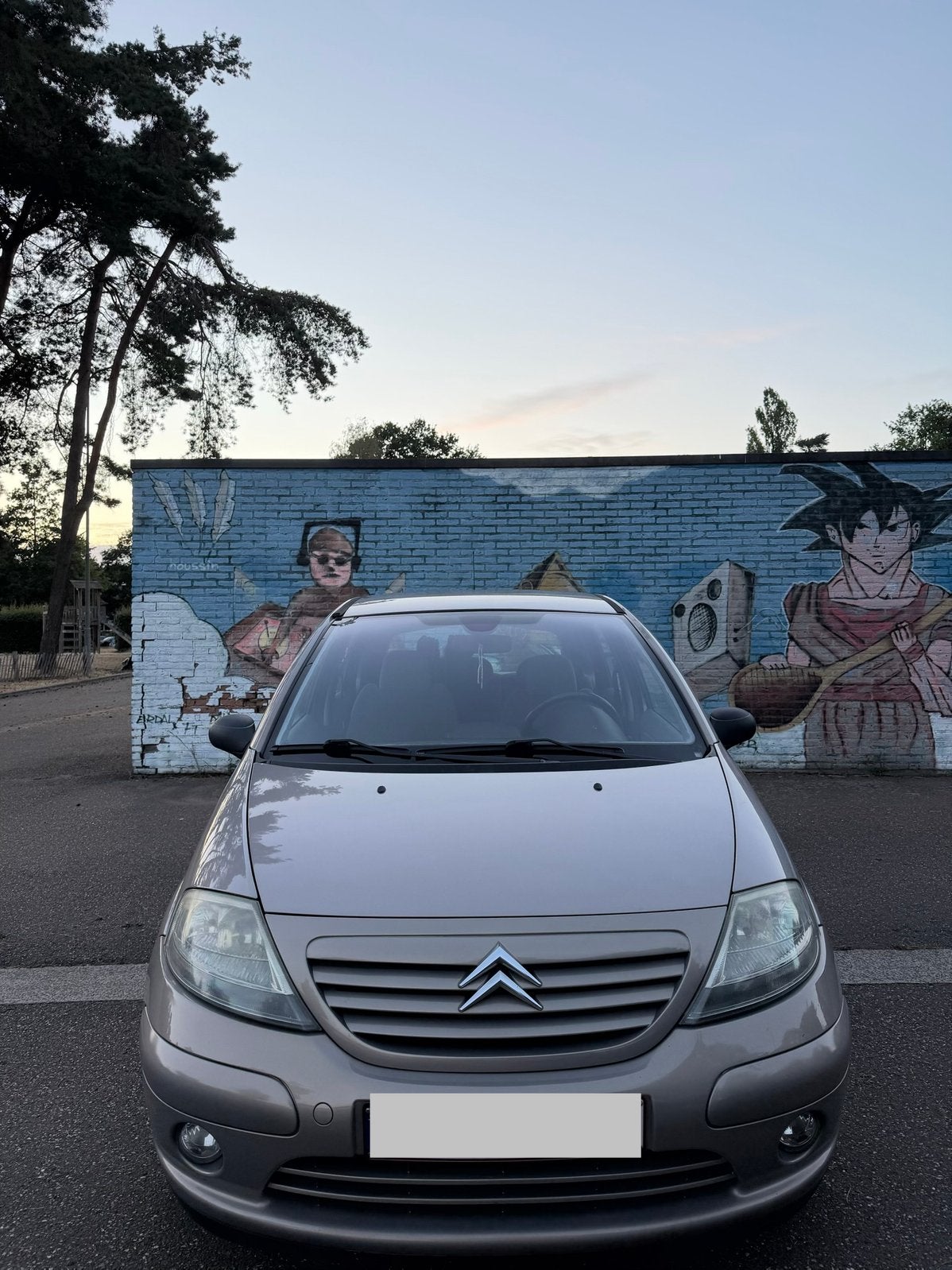 Citroen C3, Particulier, Airconditioning, C3, Te koop