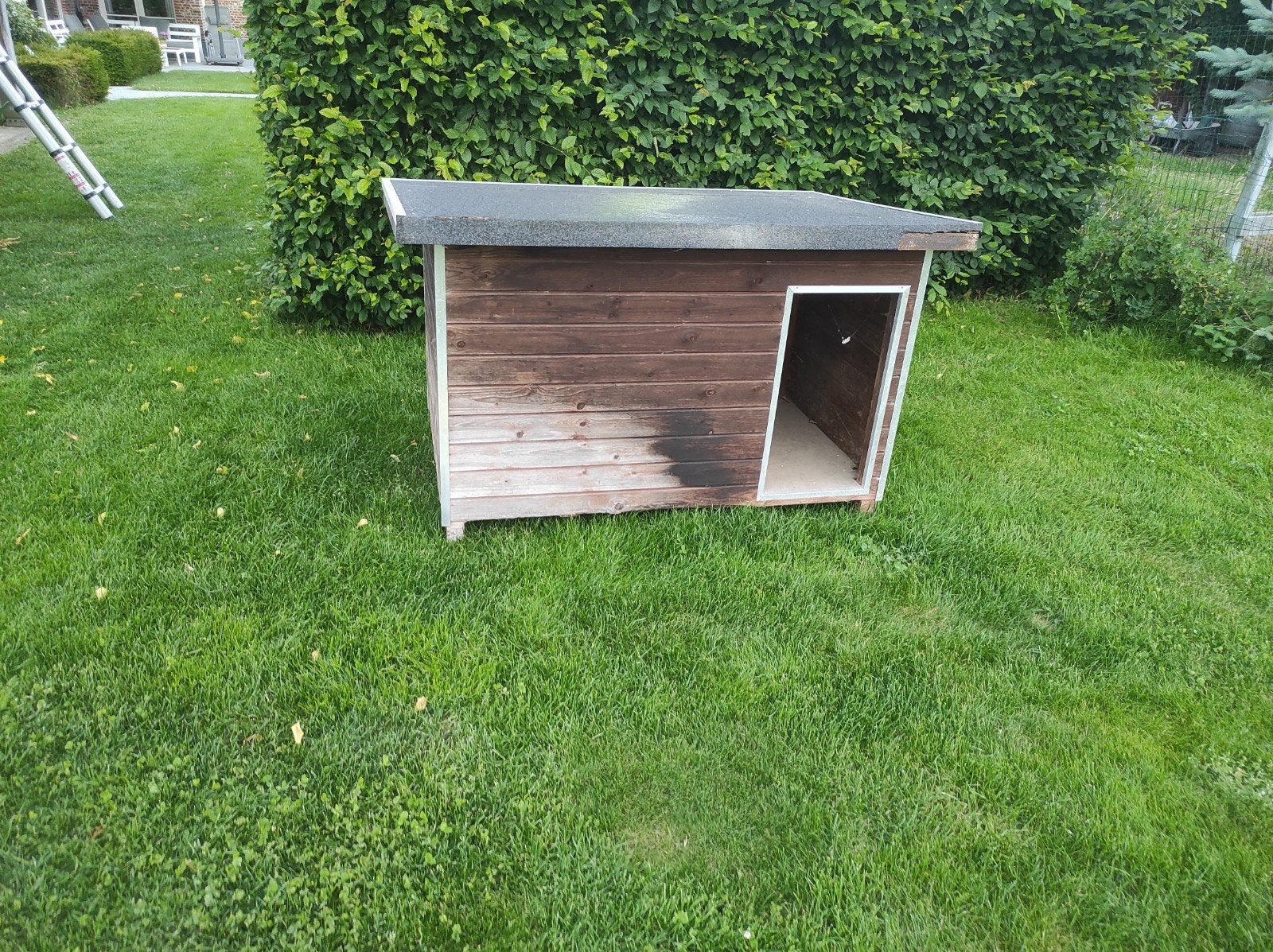 Hondenhok, Dieren en Toebehoren, Ophalen