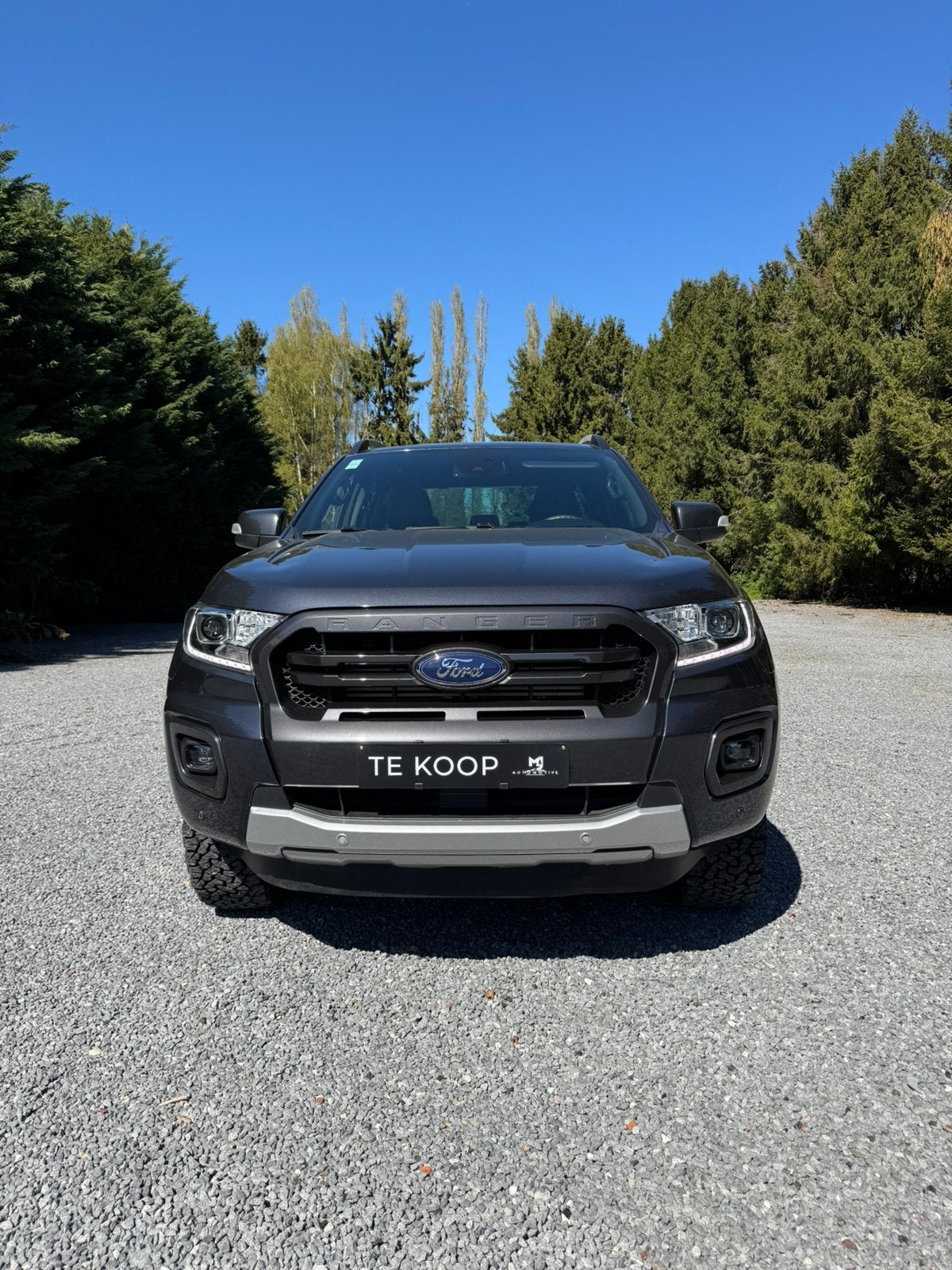 Ford Ranger, Auto's, Ford, Automaat, 4 deurs, https://public.car-pass.be/vhr/f2cb840a-efcb-4d43-9728-3b228056d2ac, Blauw