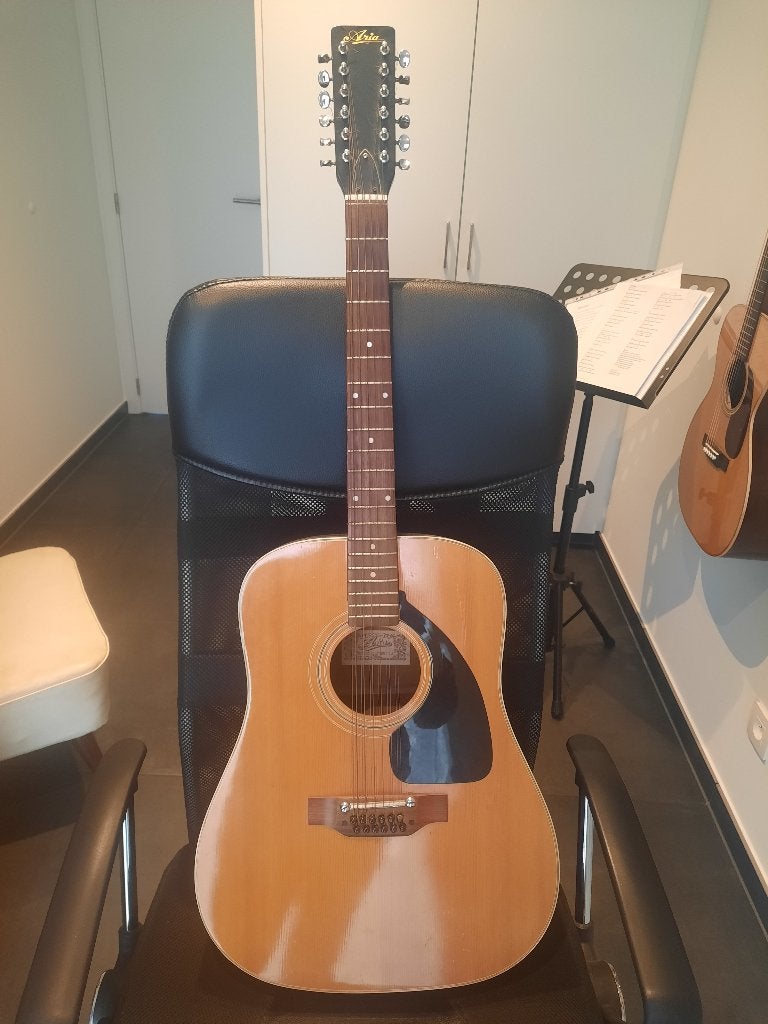 12 string Aria, Muziek en Instrumenten, Ophalen, Gebruikt, Western- of Steelstringgitaar, 12-snarig