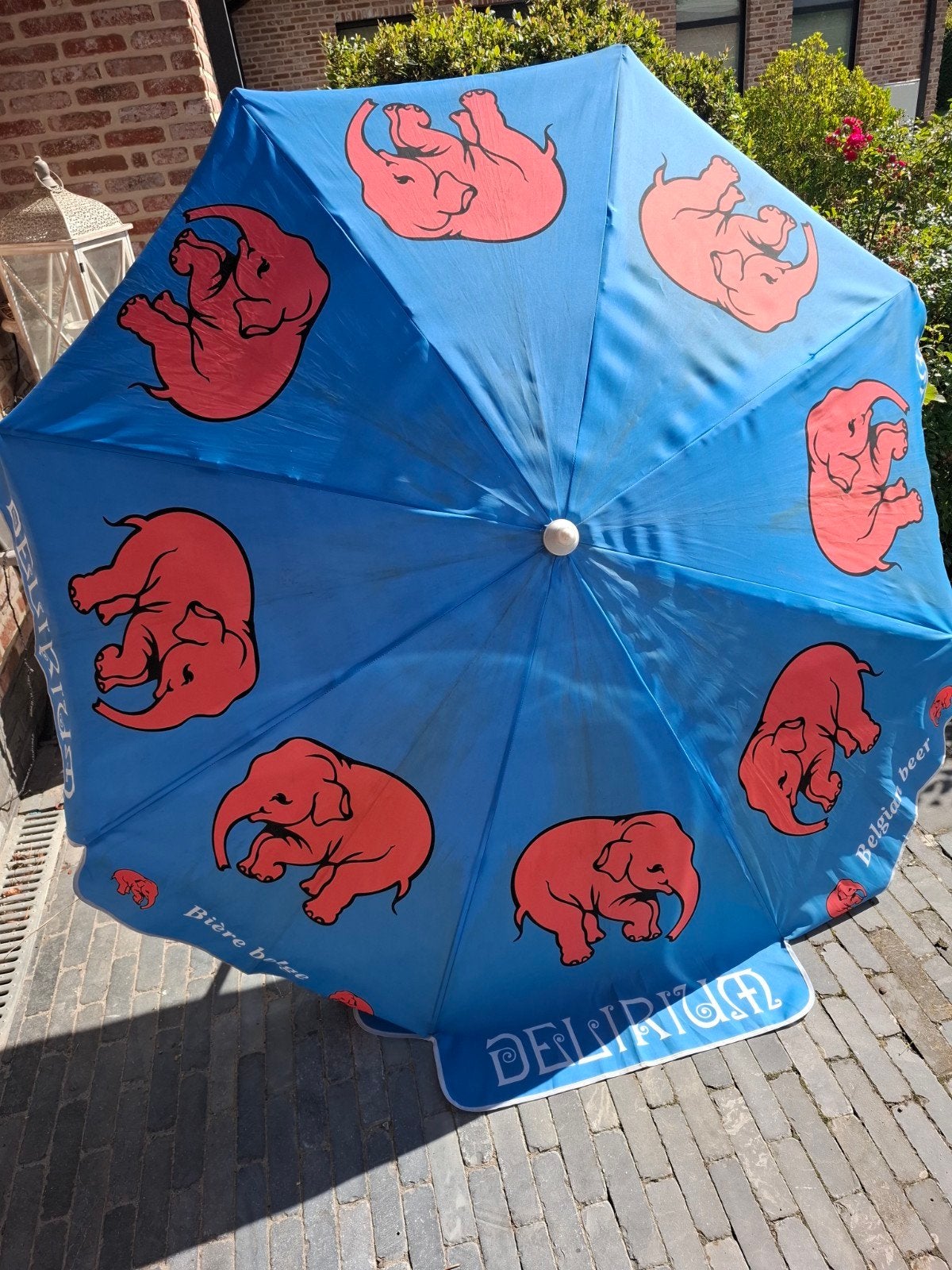 delirium parasol, Enlèvement