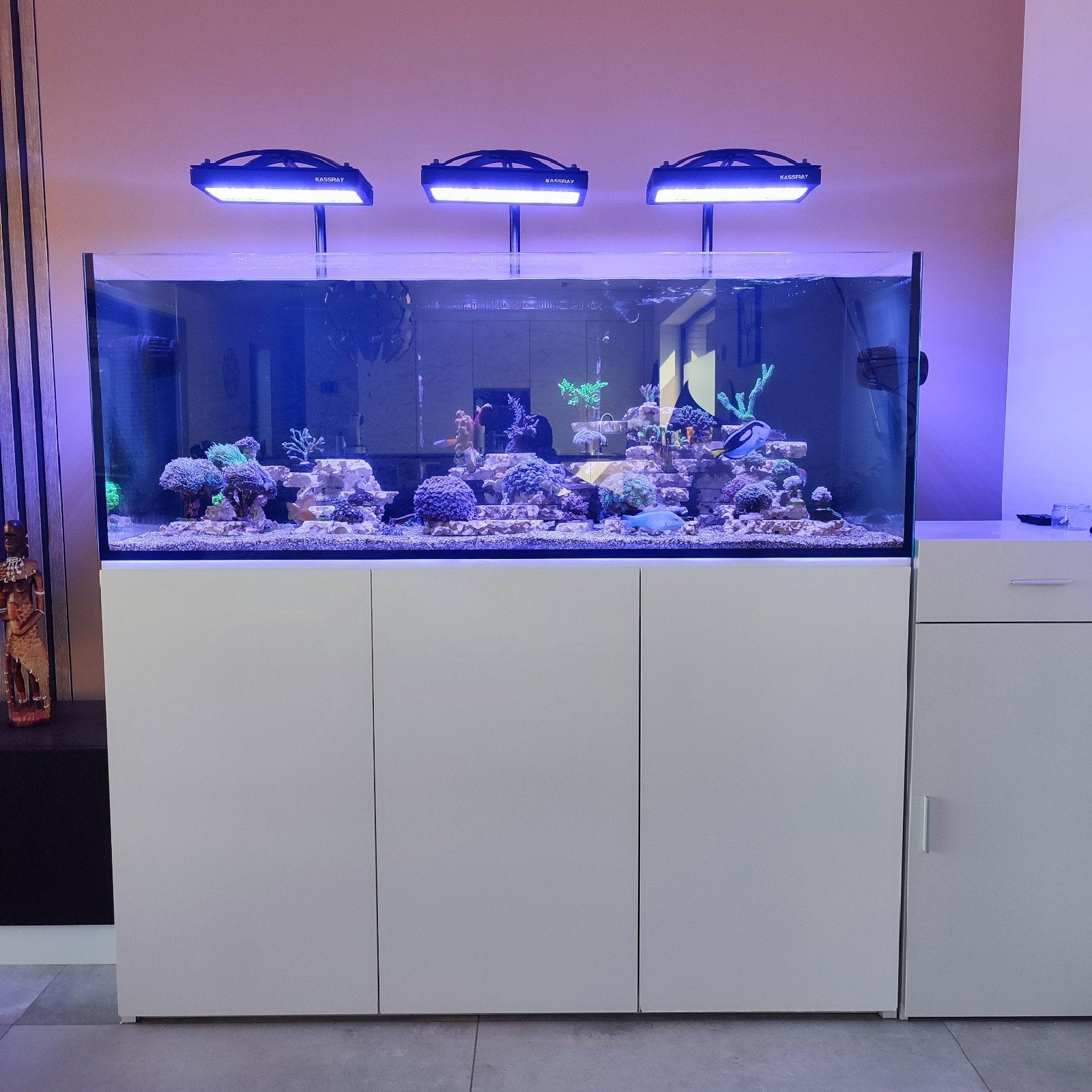 Zeepaquarium 150x65x55 met sump., Aquarium d'eau de mer rempli, Comme neuf, Enlèvement, Accessoires inclus