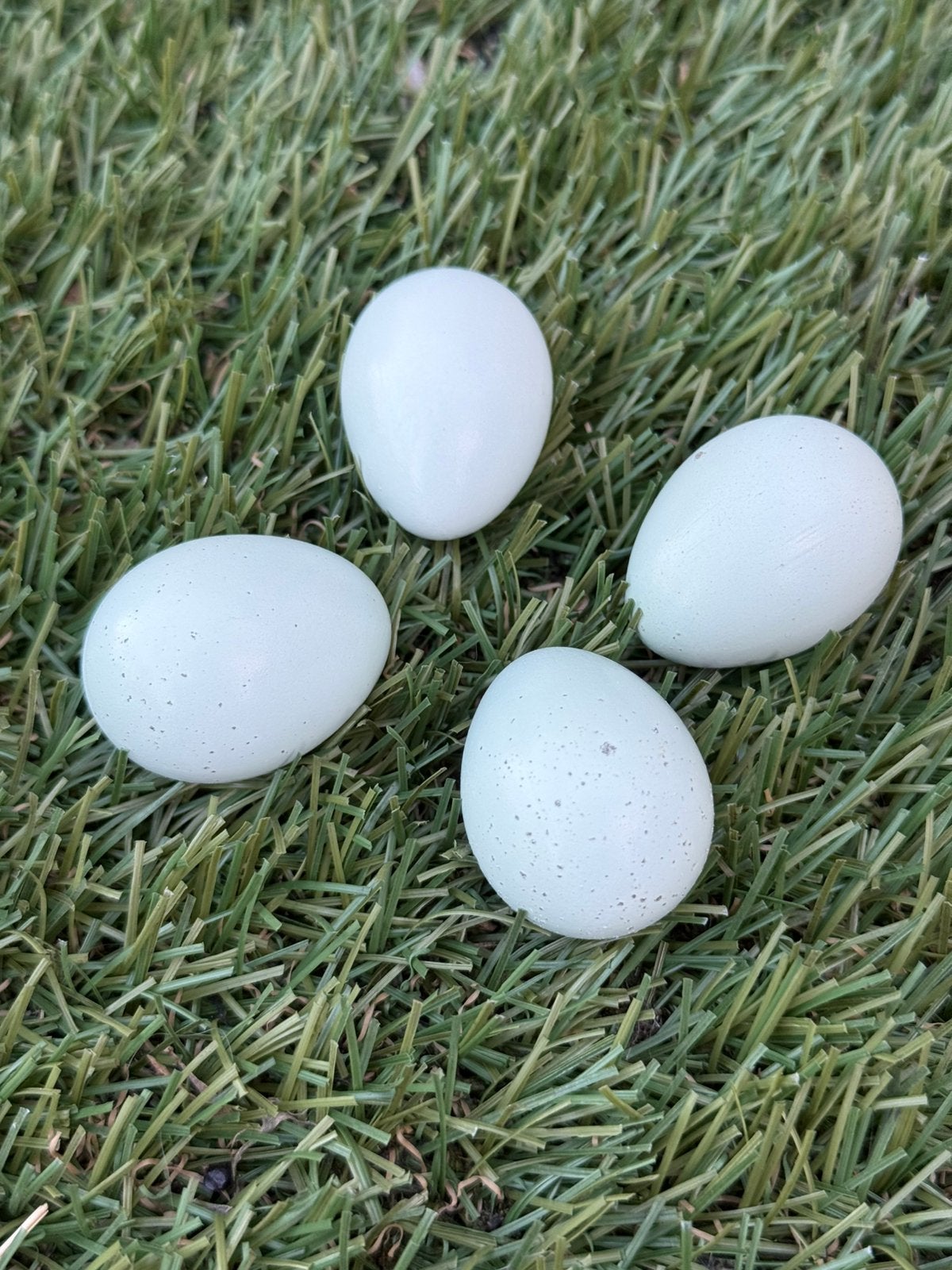 Broedeitjes celandon kwartels, Dieren en Toebehoren, Pluimvee