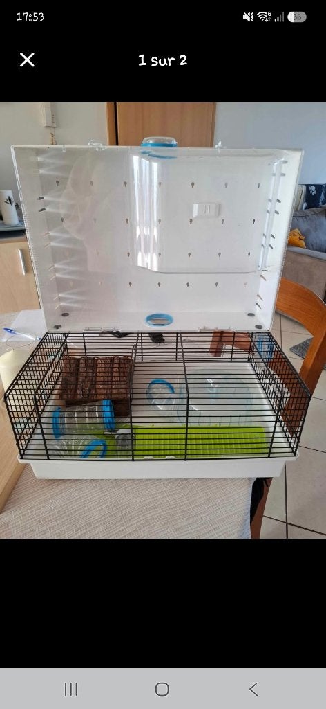 Cage hamster, Animaux & Accessoires, Enlèvement, Utilisé, Cage, Hamster