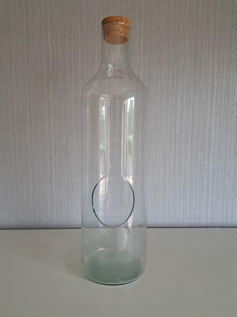Glazen fles voor planten met kurk en opening, Ophalen of Verzenden, Overige soorten, Minder dan 100 cm
