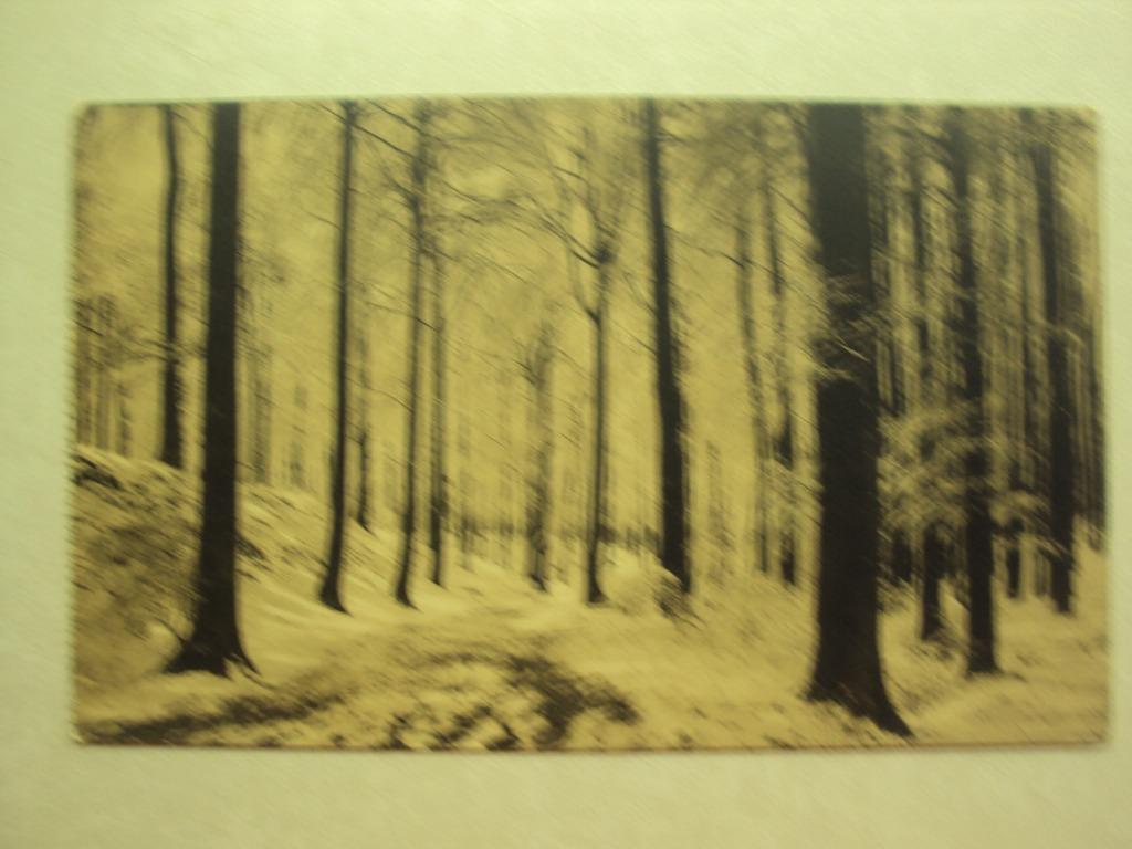 49194 - VALLON DE LA SOURDINE - 12 AVRIL1913, Ophalen of Verzenden