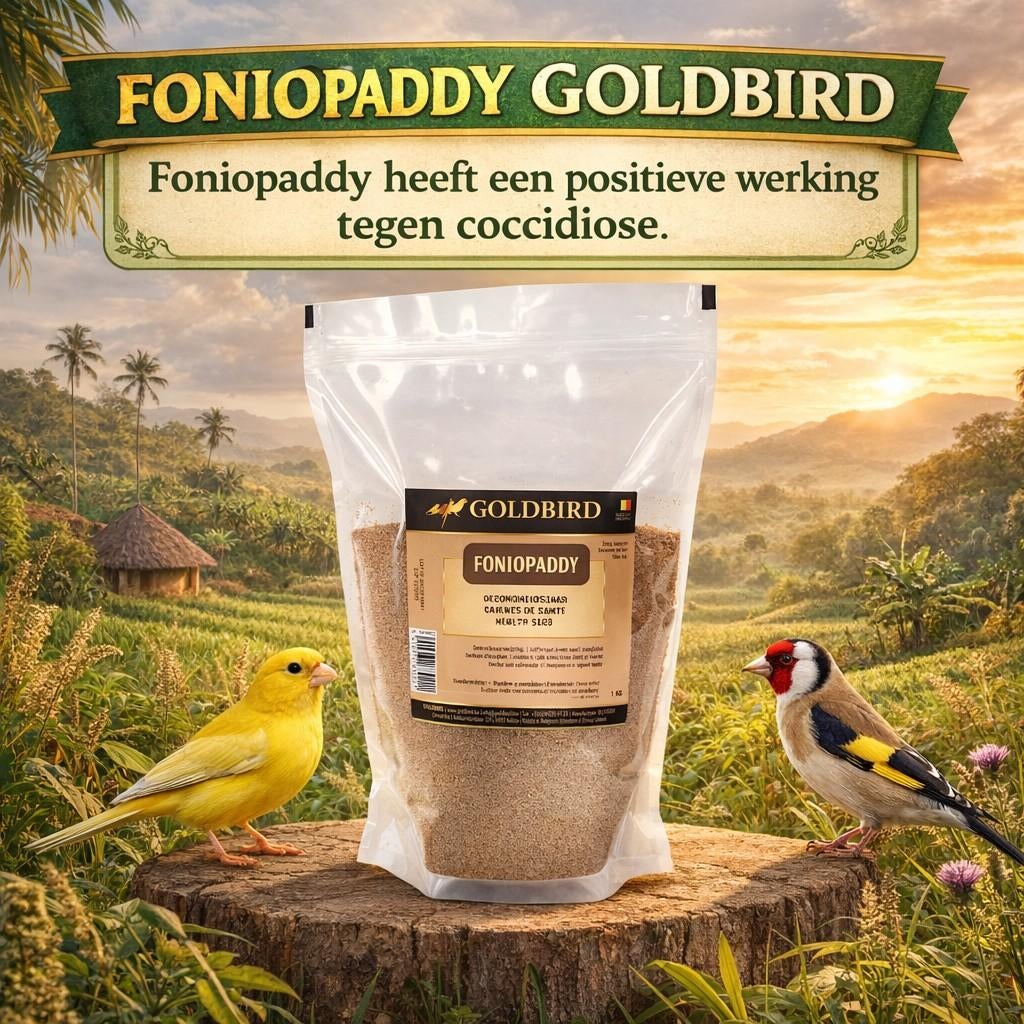 Foniopaddy 1kg GoldBird - Coccidiose - Winkel en Webshop, Ophalen