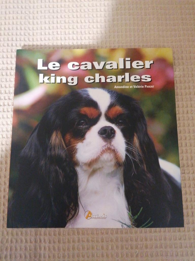 Livre sur les chiens, Enlèvement ou Envoi, Chiens