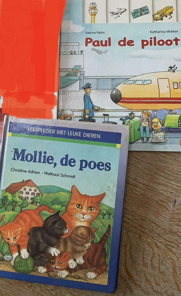 Kinder leesboeken, Ophalen of Verzenden, Gelezen