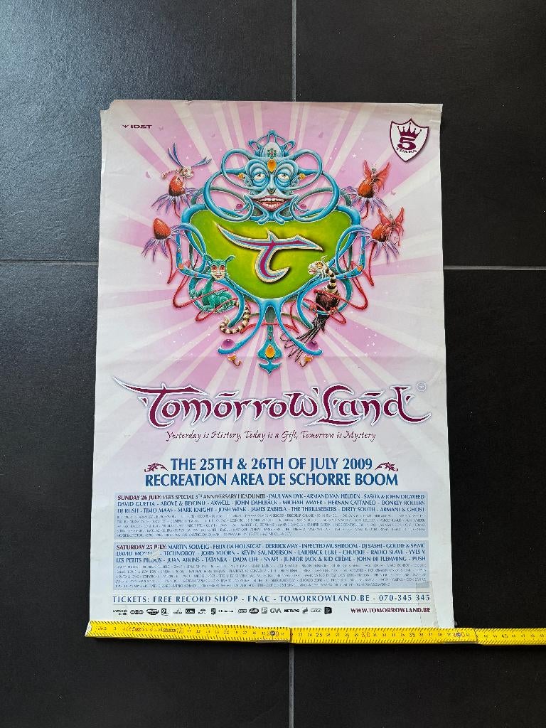 Tomorrowland 2009, Ophalen of Verzenden, Gebruikt