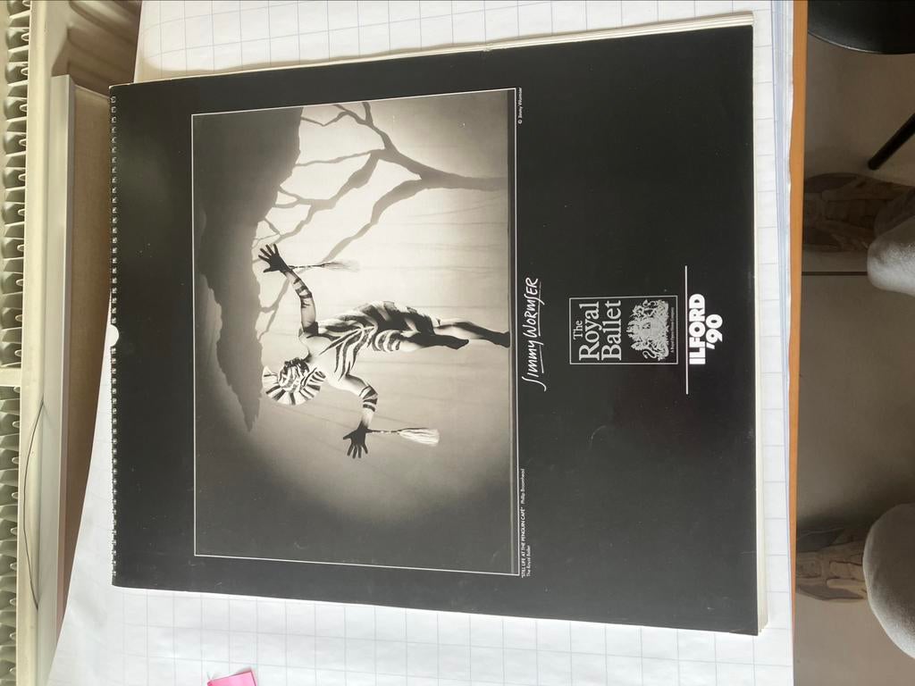 Kalender ilford zwart wit collectors item, Ophalen of Verzenden, Zo goed als nieuw