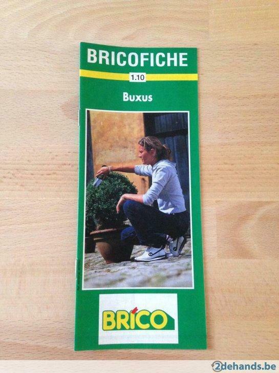 Gids : Hoe Buxus verzorgen, Envoi, Neuf