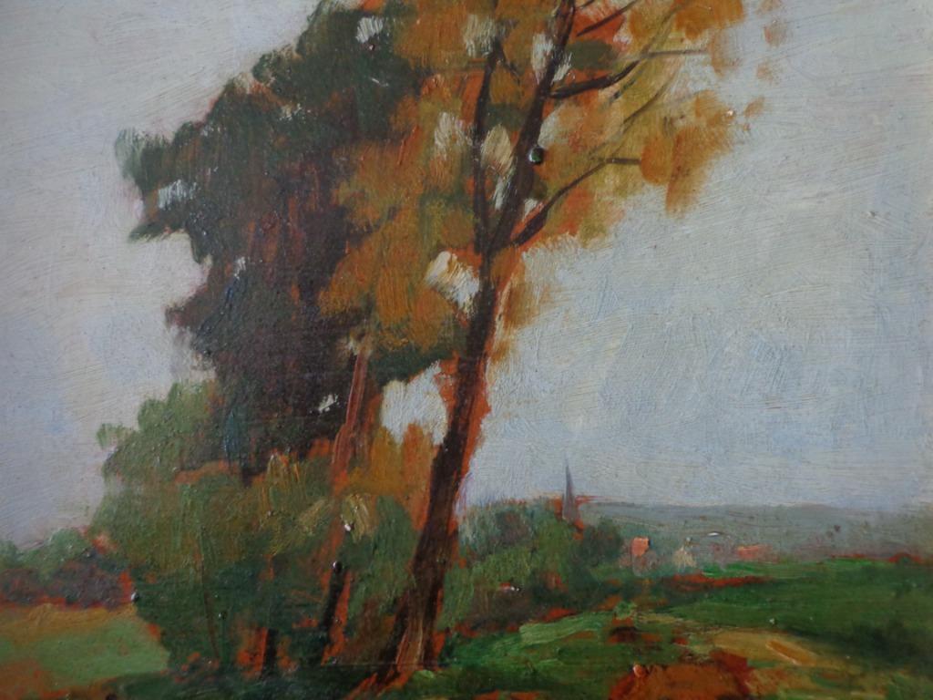 zonnig landschap (olieverf op board) van Philibert Cockx, Antiek en Kunst, Ophalen of Verzenden
