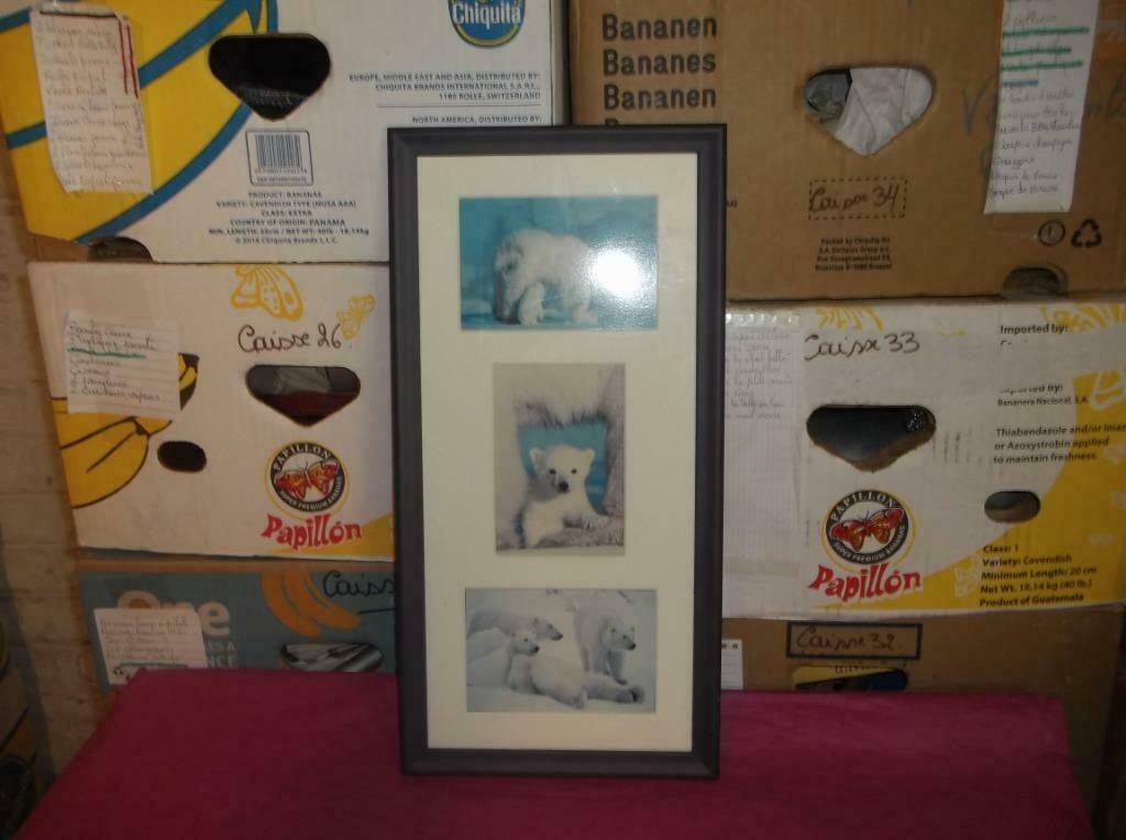 Cadre photos, Huis en Inrichting, Ophalen of Verzenden, Zo goed als nieuw, Foto of Poster