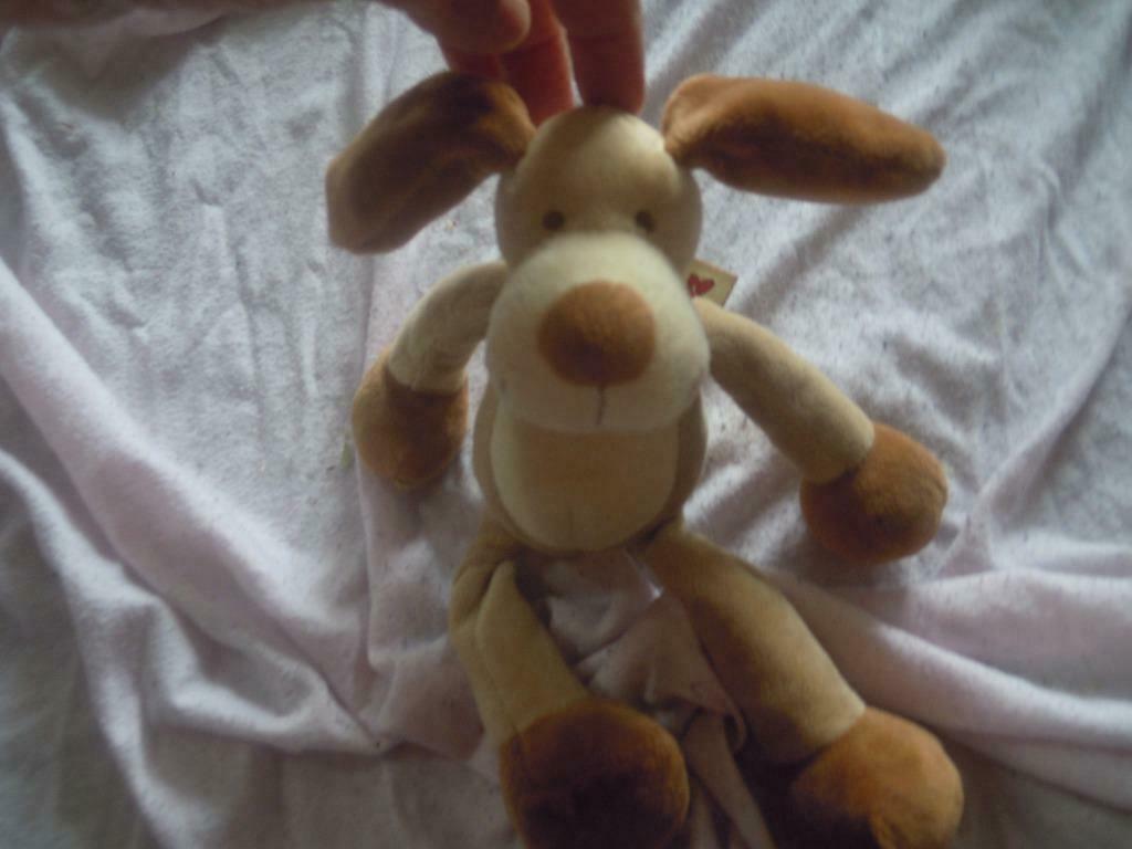 knuffel nicotoy hond (doos 57), Enlèvement ou Envoi, Neuf, Chien