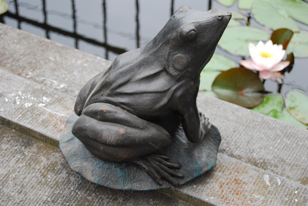 GIETIJZEREN KIKKER MET PATINA OP WATERLELIEBLAD., Ophalen of Verzenden, Nieuw, Overige materialen, Dierenbeeld