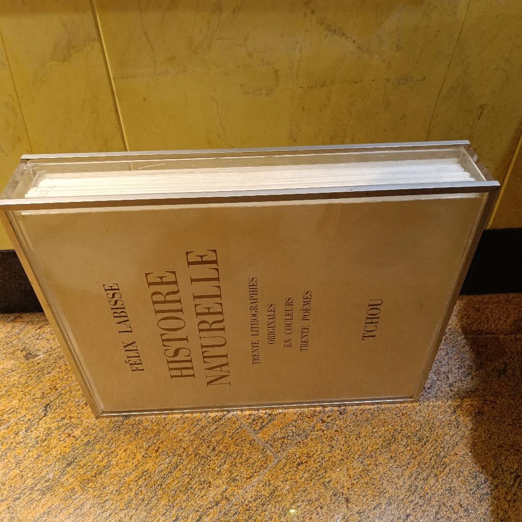 30 litoghrapieën van Felix Labisse in plexi-cassette boek., Antiek en Kunst, Ophalen of Verzenden