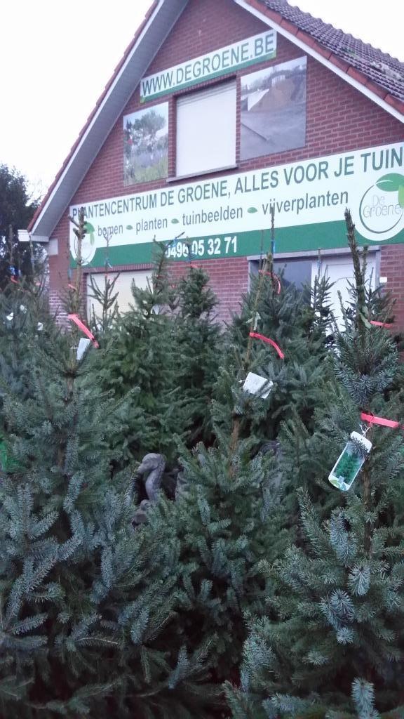 KERSTBOMEN   ZIJN   AANGEKOMEN, Enlèvement ou Envoi, Neuf
