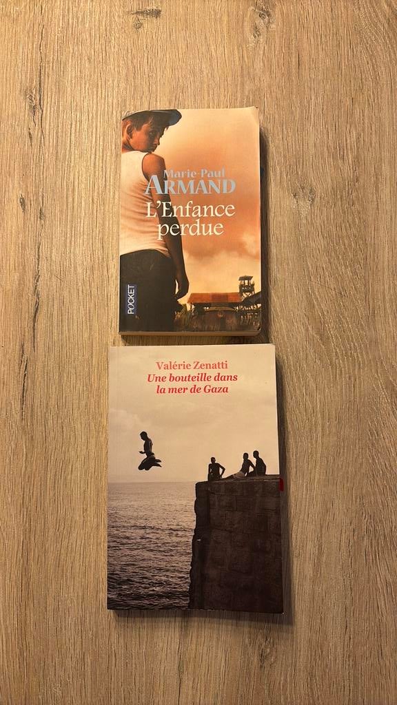 Franse boeken, Boeken, Ophalen of Verzenden, Zo goed als nieuw