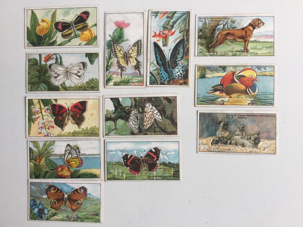 Oude prentjes “ Pudding Little Folk “, Antiek en Kunst, Ophalen of Verzenden