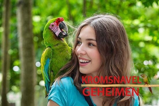 Papegaai beter begrijpen? Kromsnavel Geheimen, Papegaai, Pratend