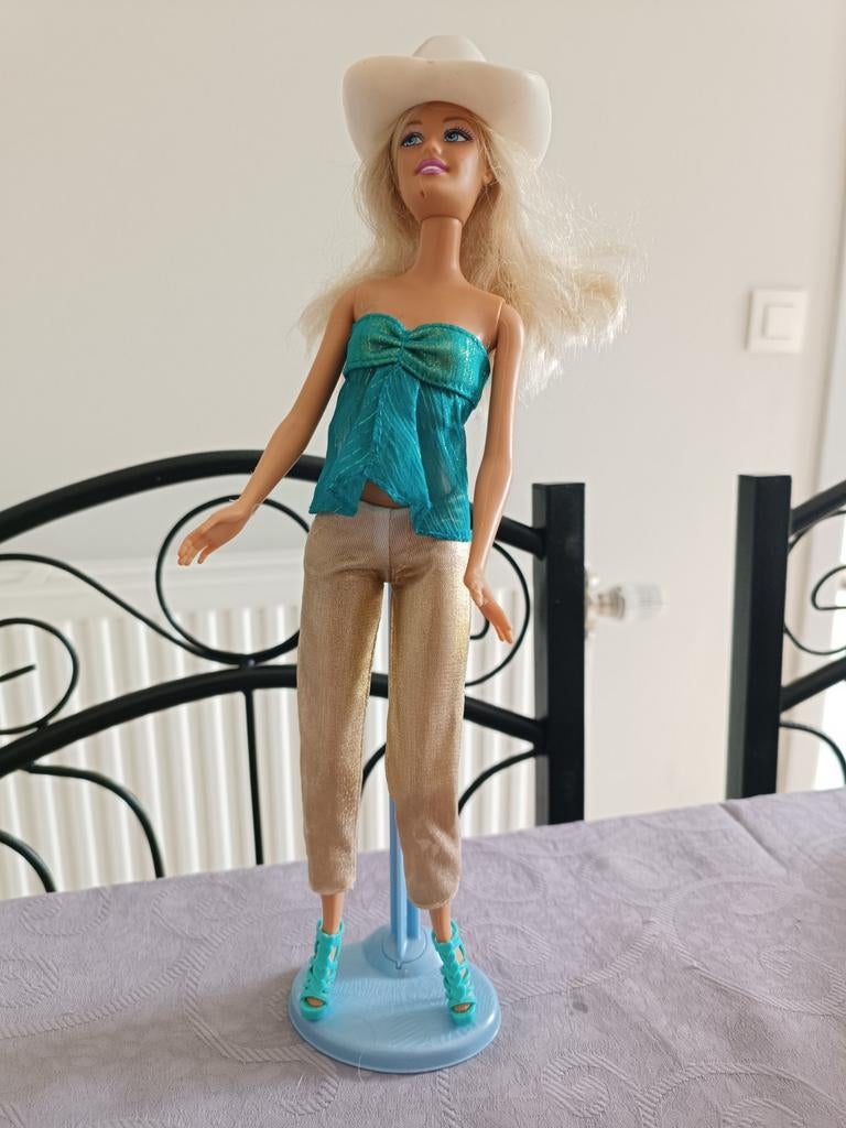 Barbie, Enlèvement ou Envoi, Utilisé