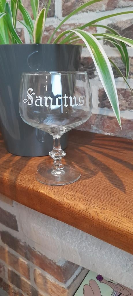 Bierglas Sanctus, Ophalen of Verzenden, Zo goed als nieuw, Bierglas