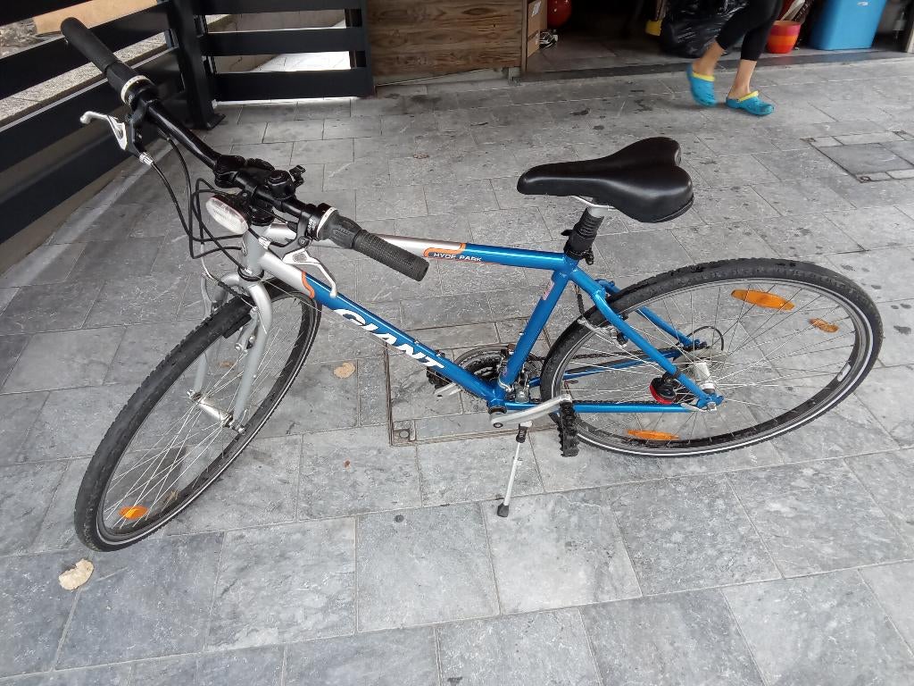 GIANT fiets van het merk 21 speed, Fietsen en Brommers, Fietsen | Mountainbikes en ATB, Ophalen, Giant