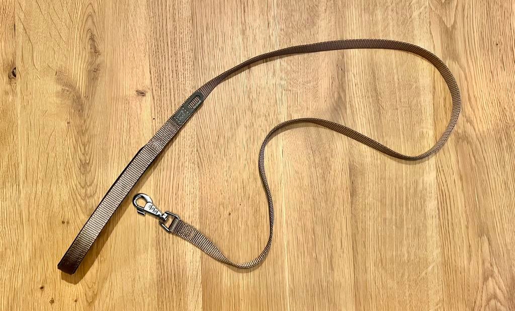 Laisse pour chien dorée neuve, Enlèvement ou Envoi, Neuf, Laisse pour chien